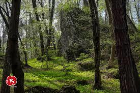 Dolina Aleksandrowicka